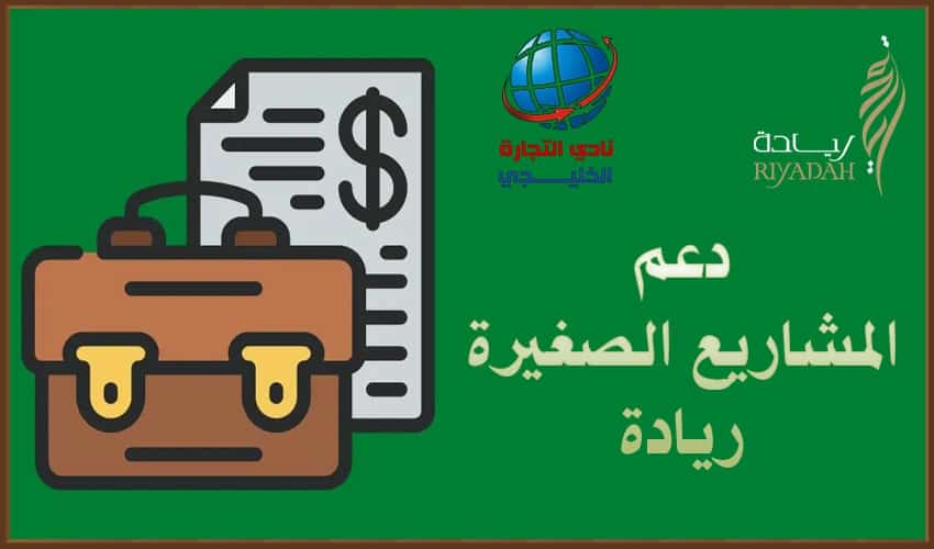 دعم المشاريع الصغيرة ريادة