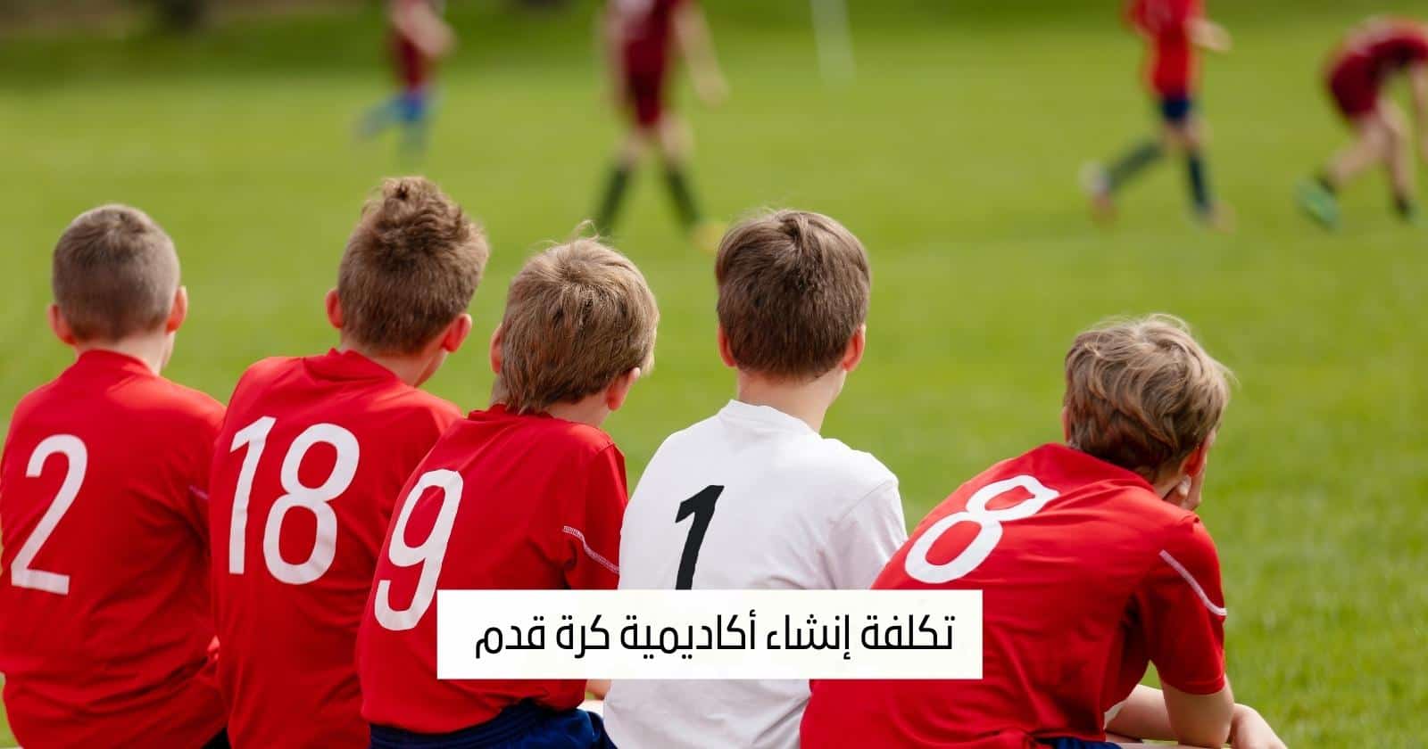 تكلفة إنشاء أكاديمية كرة قدم