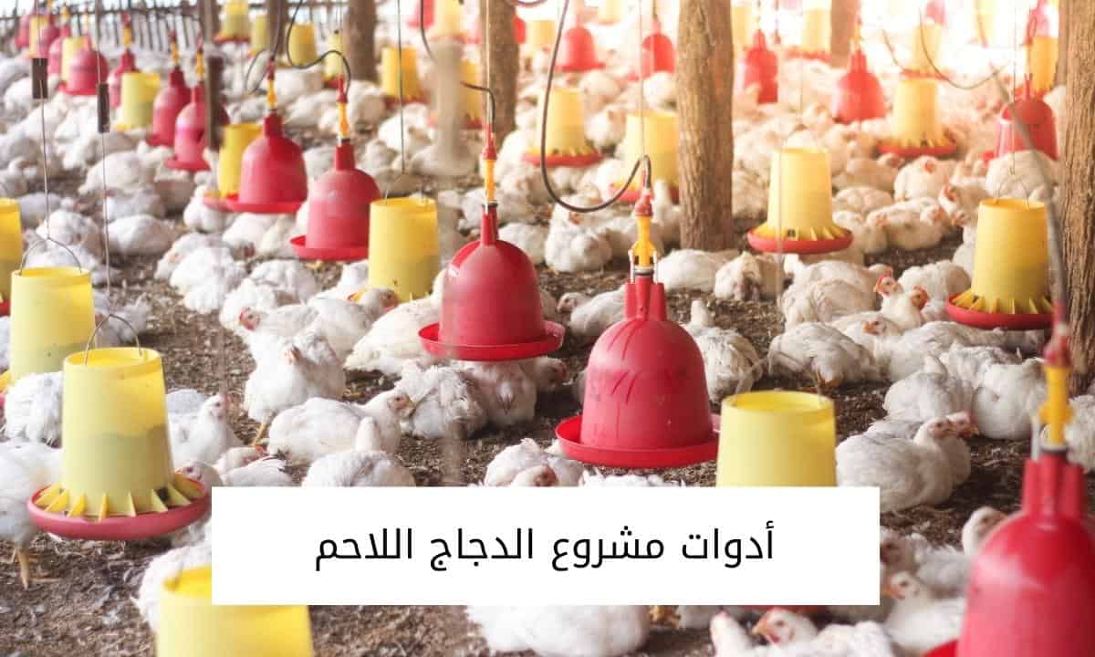 أدوات مشروع الدجاج اللاحم