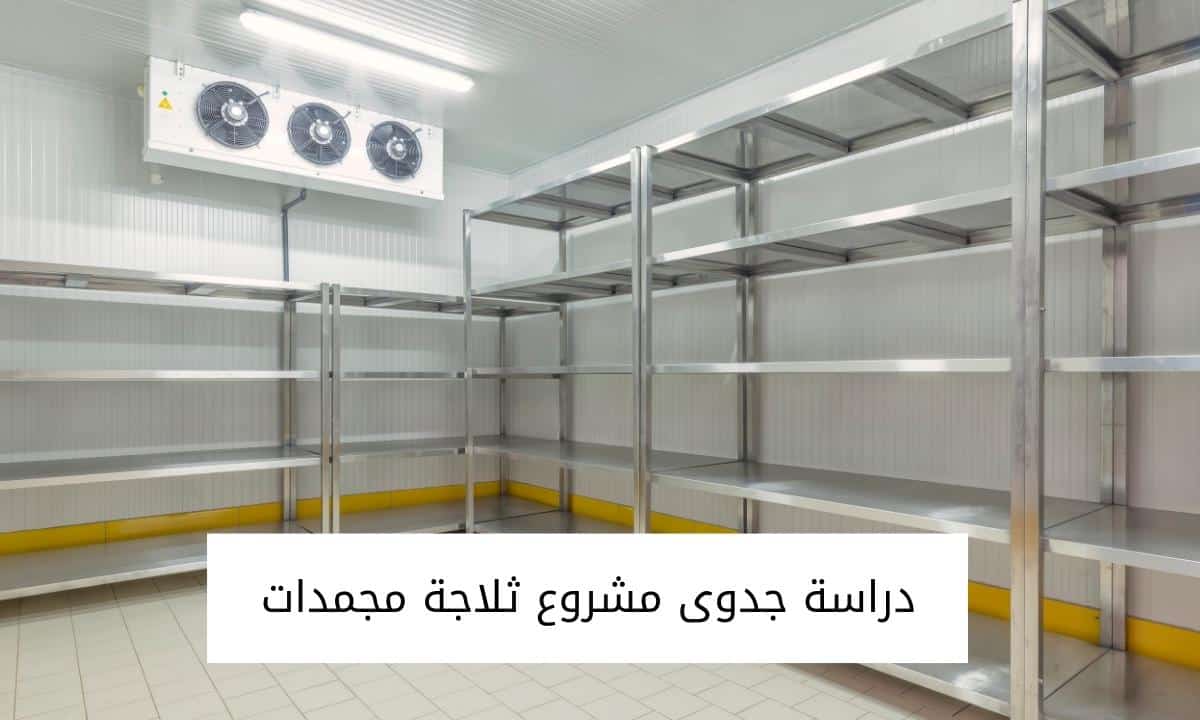 دراسة جدوى مشروع ثلاجة مجمدات