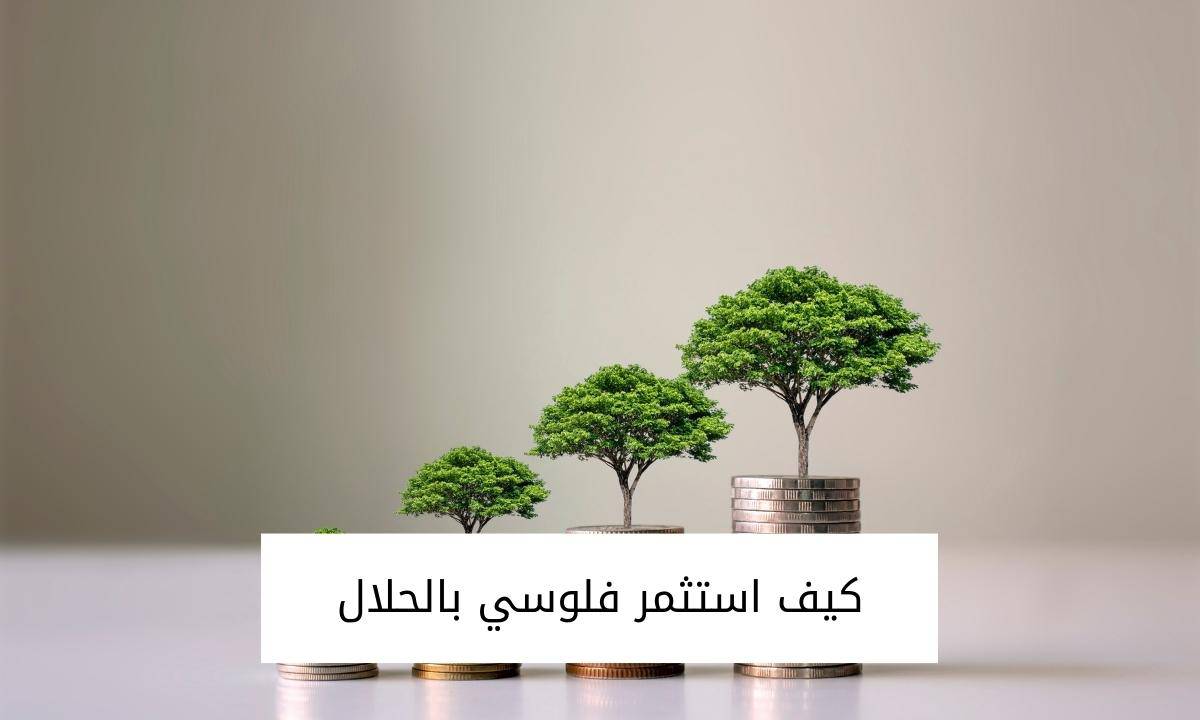 كيف استثمر فلوسي بالحلال