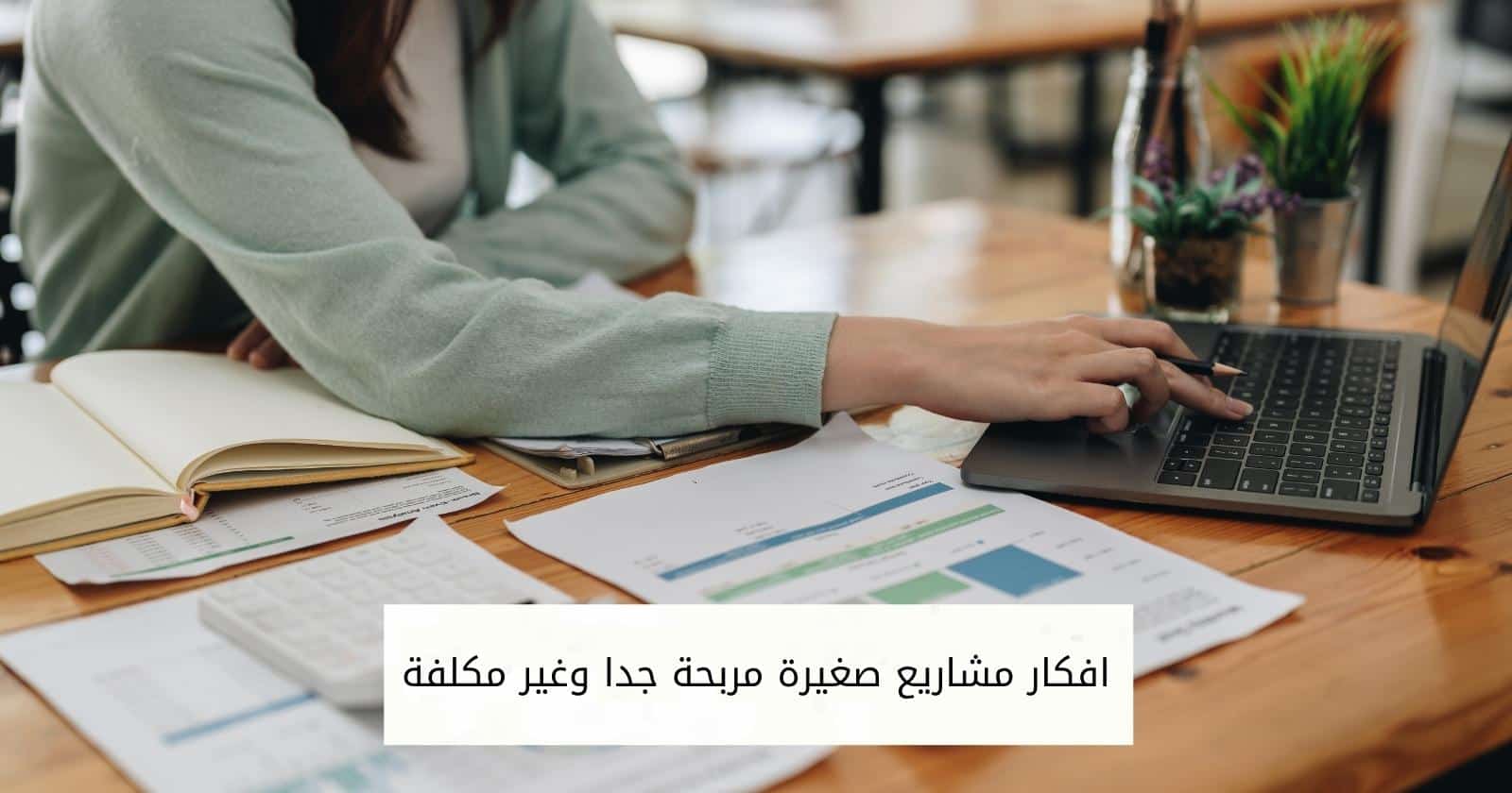 افكار مشاريع صغيرة مربحة جدا وغير مكلفة