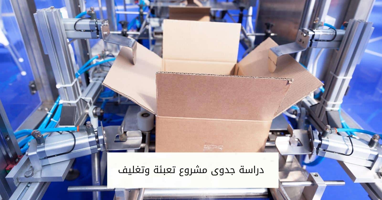 دراسة جدوى مشروع تعبئة وتغليف