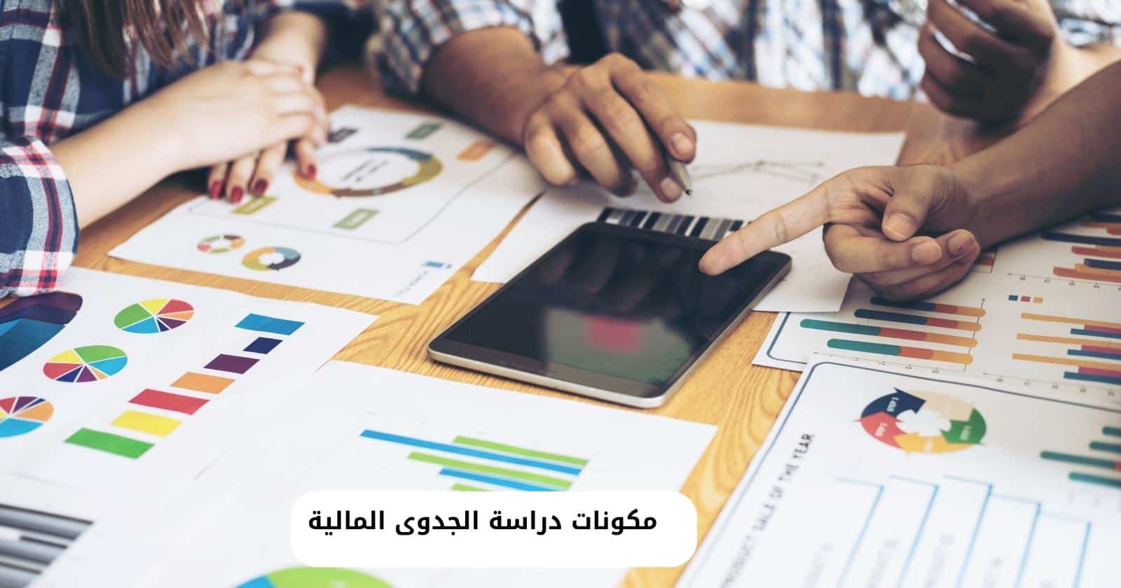 مكونات دراسة الجدوى المالية