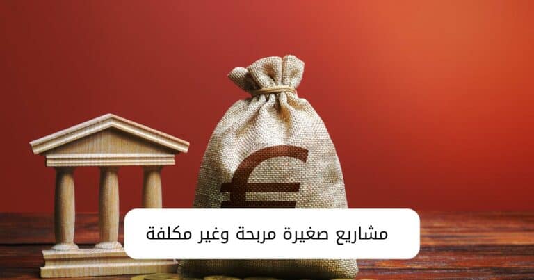 أفكارمشاريع صغيرة مربحة وغير مكلفة وغير منتشرة